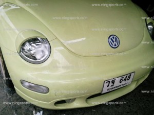 new-beetle-eyelid-2