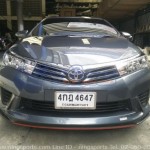 Altis 2014 ทรง Kantara-R